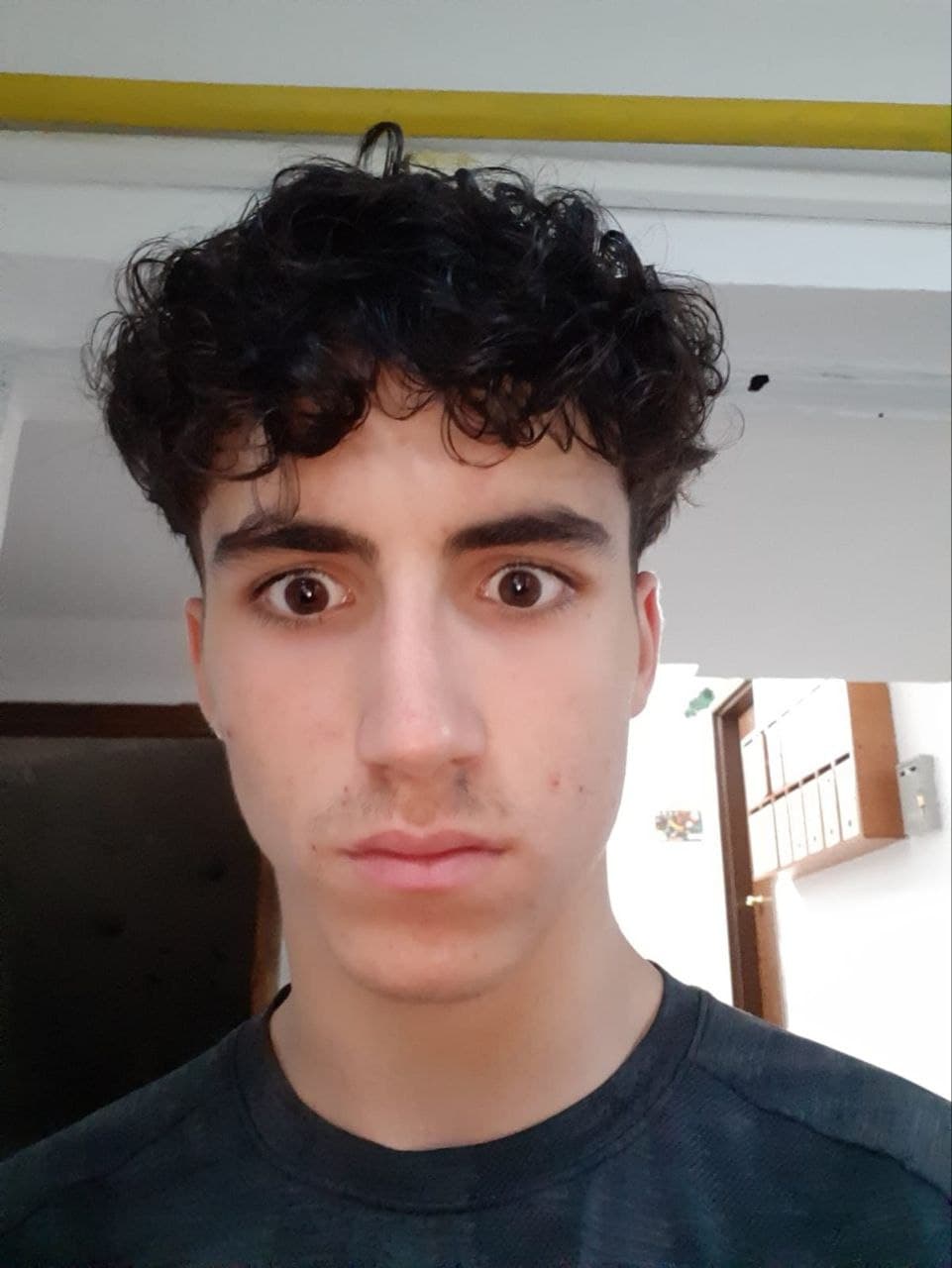 Mihai Alexa member